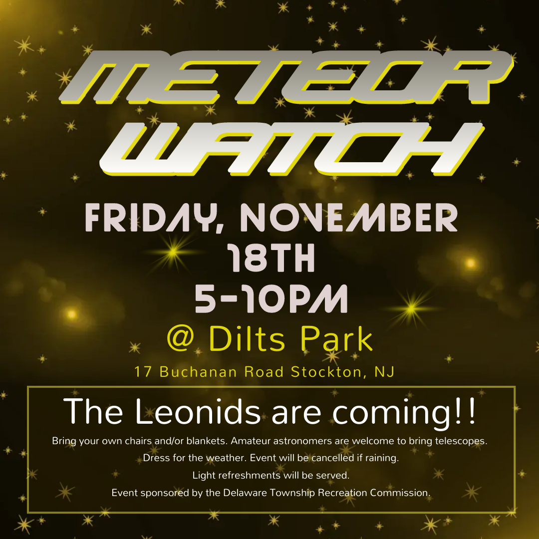 Meteor Watch flyer